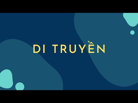 Video: Truyền đa yếu tố là gì?