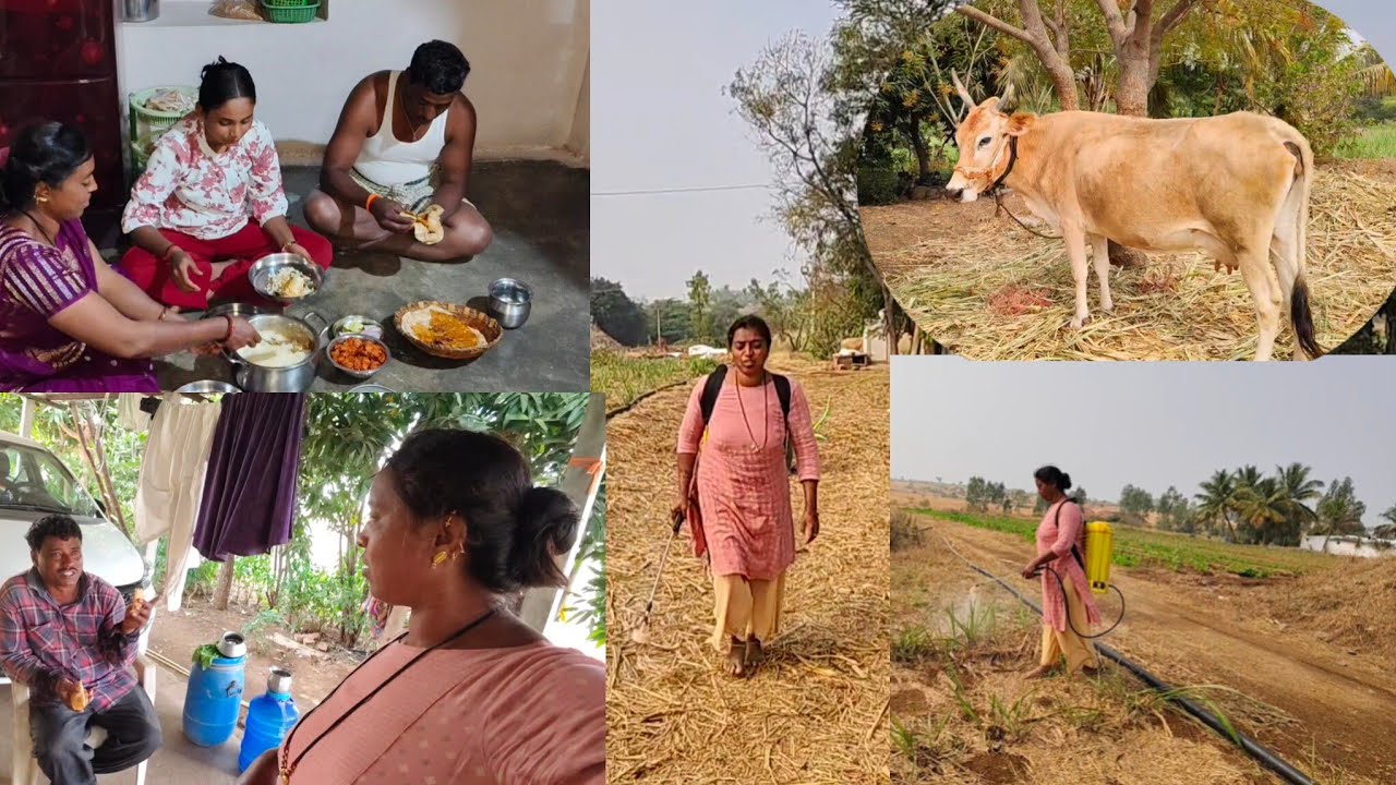 ಇವತ್ತು ಒಂದೂ ಸ್ಪೆಷಲ ಅನೌನ್ಸ್ಮೆಂಟ ಮಾಡ್ತಿದೀನಿ ನಿಮ್ಮೆಲ್ಲರ ಆಸೆ ಅಂತೆ ಇನ್ಮುಂದೆ ಇದೆಲ್ಲ ಆಗುತ್ತೆ ಮನಸ್ಸಿಗೆ ಕುಷಿ 