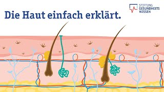 Wie funktioniert die Haut? Aufbau des größten Organs | Wissen ist gesund Resimi