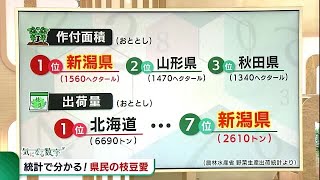 《気になる数字》新潟県民の“枝豆愛”がわかる！？　作付け面積は１位なのに出荷量は７位　その理由は… (22/06/29 18:53)