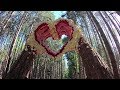 Electric Forest 2019 aftermovie