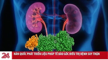 Đột phá sử dụng tế bào gốc từ nước tiểu để điều trị suy thận tại Hàn Quốc | VTV24