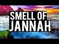 THE SMELL OF JANNAH