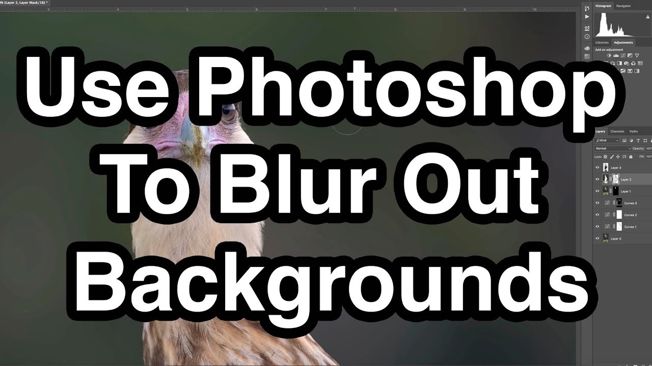 Use To Blur Out Backgrounds YouTube