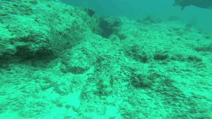 DIve Dominican August 2014