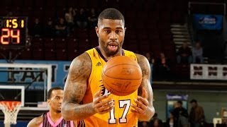 Terrence Williams - Highlights of 2013-14 NBA D-League Season