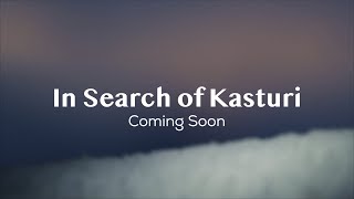 In Search Of Kasturi The Himalayan Musk Deer