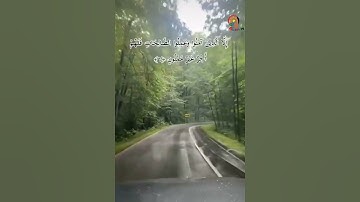سورة التين . سعد الغامدي ..