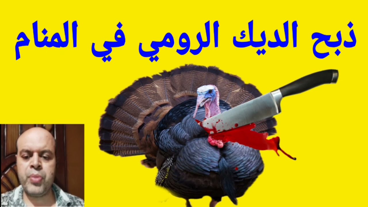 تفسير حلم ذبح الديك الرومي في المنام لابن سيرين | @Dream-interpretation-g2w