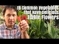 18 Common Vegetables that Have Delicious Edible Flowers