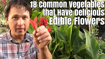 Can you eat cabbage blooms?