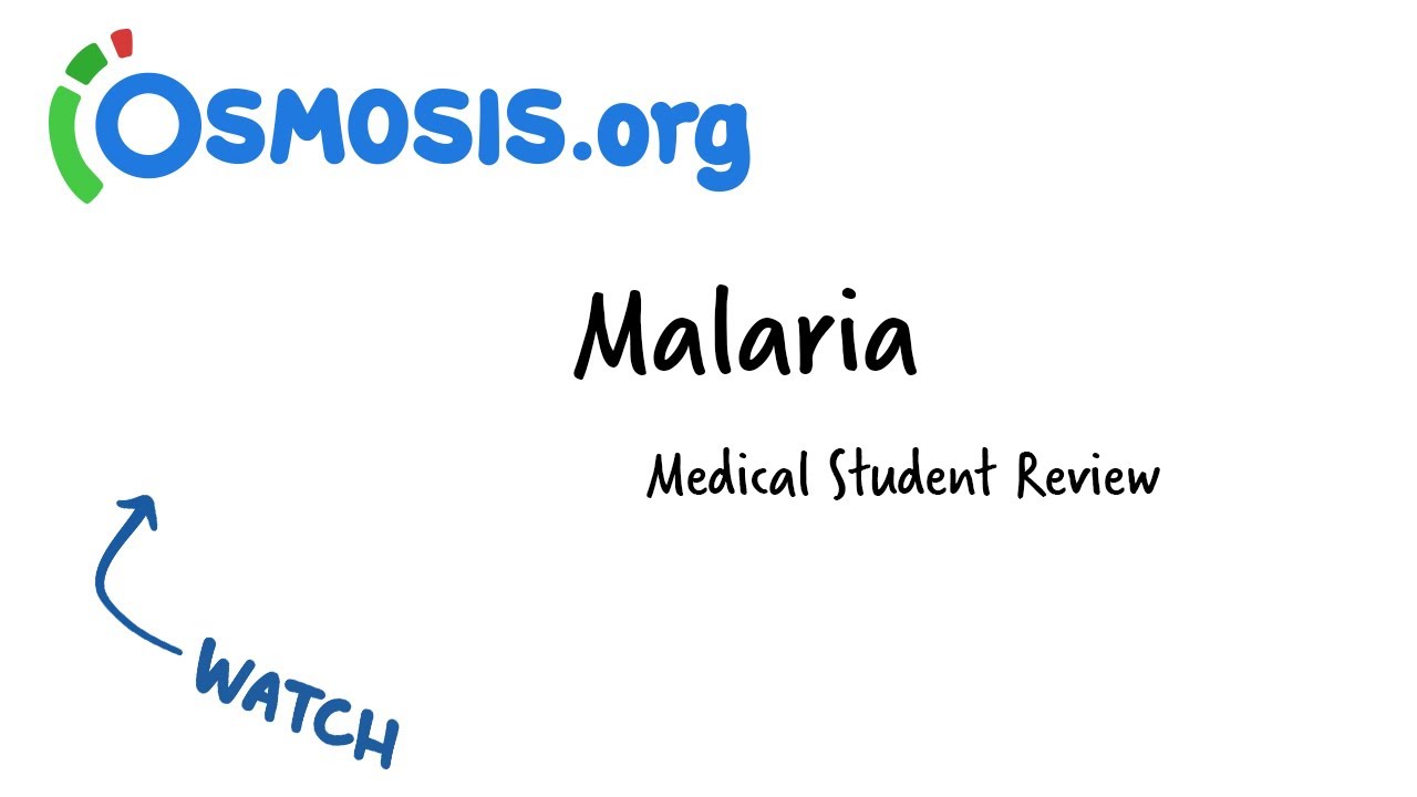 Malaria