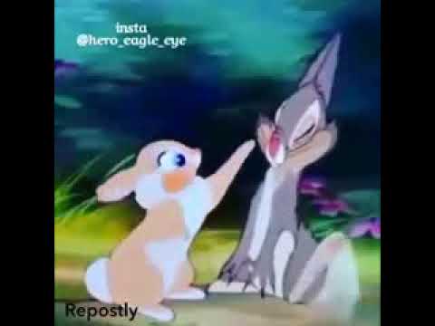 اليسا عايشه حالة حب الارانب