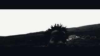 Domis - Spectacular Music Video