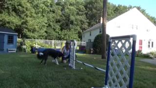 Obstacle Commitment