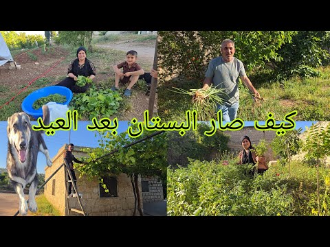 #فلوق في بستان، البيت كيف صاير البستان بعد العيد #قناه_ام_رودي #اكسبلور 