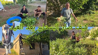 #فلوق في بستان، البيت كيف صاير البستان بعد العيد #قناه_ام_رودي #اكسبلور 