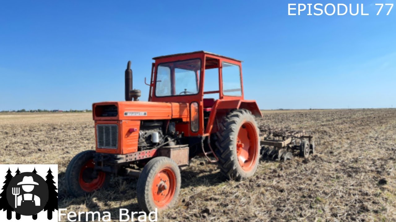 Tocăm bețele de floarea-soarelui( Cu 2 utb650)