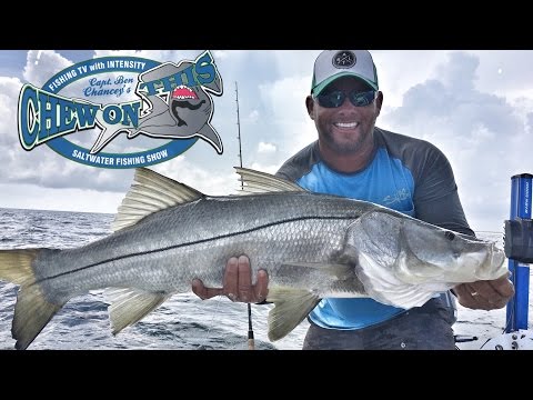 Best Snook Fishing Video - Saltwater Fishing Most Popular