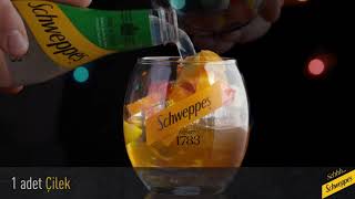 Schweppes Mocktail Tarifleri Punchy Lime & Mint