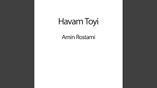 Havam Toyi