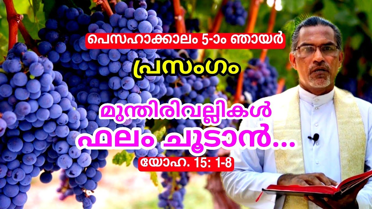 5TH SUNDAY OF EASTER (B) HOMILY IN MALAYALAM WINE AND ITS BRANCHES