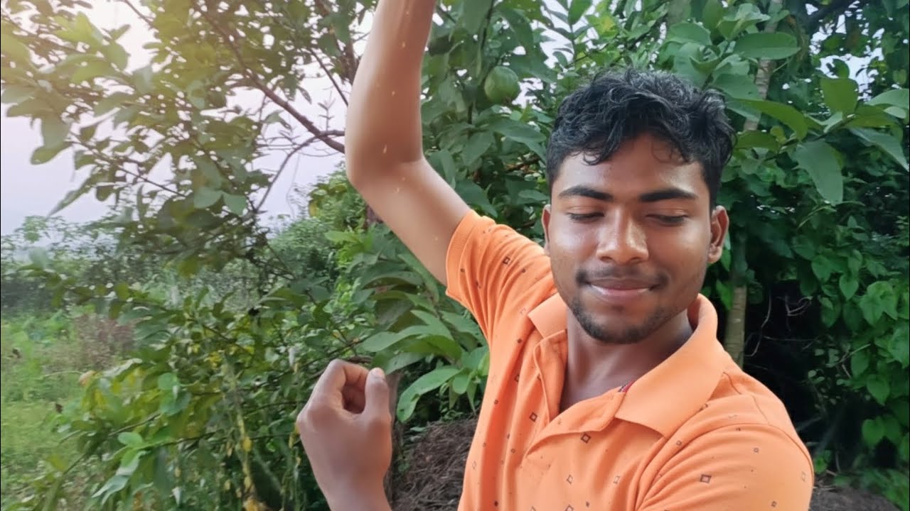 ମୋ ପଛପଟରେ ପୁରା ସତେଜ ପିଜୁଳି 