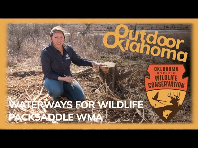 Watch Waterways for Wildlife (Packsaddle WMA) on YouTube.