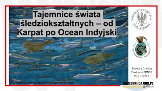 Tajemnice świata śledziokształtnych - od Karpat po Ocean Indyjski / Mateusz Granica