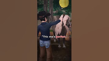 We need to appreciate our starters more. 🥲 || Star Stable Online