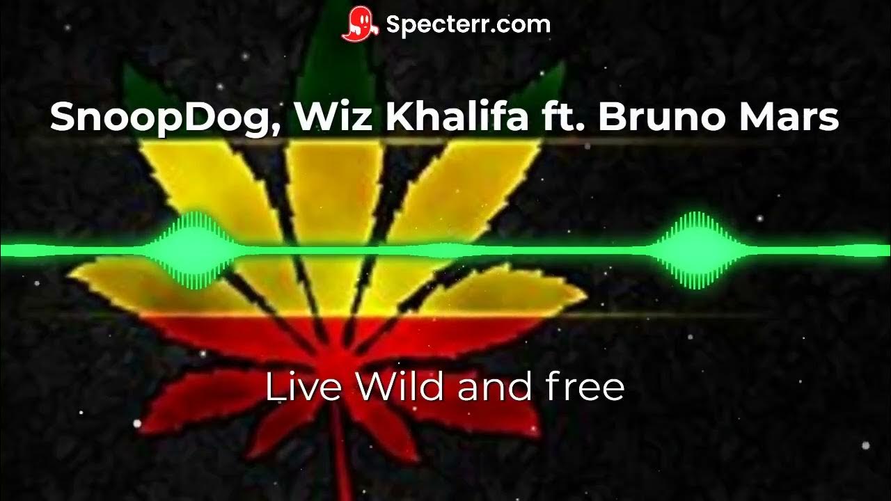 SnoopDogg, Wiz Khalifa ft. Bruno Mars Young, Wild and free YouTube