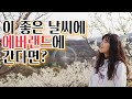 에버랜드 퍼레이드 노래 듣고 가실게요~🎡 | 에버랜드 브이로그 | 이앉