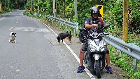 Beware The Darkside Of Pattaya! It