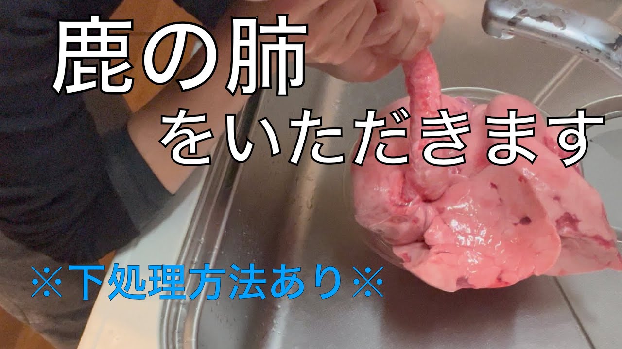 鹿を食べ尽くそう】マシュマロみたいな肺はやっぱり軽かった - YouTube