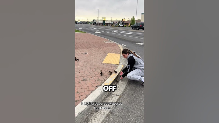 Women Saved Baby Ducks ❤️