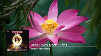 Tập 1 – Phẩm 4 K.Thị Giả-3_4PZ 