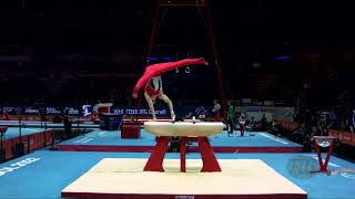 MATIEV Askhab (AUT) - 2022 Artistic Worlds, Liverpool (GBR) - Qualifications Pommel Horse