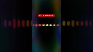 Ergün - Al Kalbim Senin 