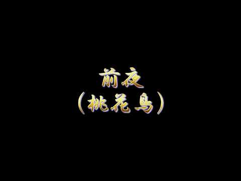 前夜（桃花鳥）　さだまさし　カバー
