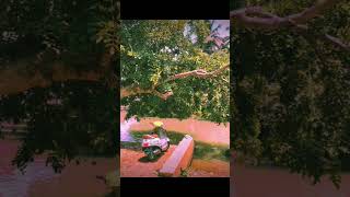 #palletooru..🏞️... Godavari..life atu chusina ....edho okha .............. అందమైన ప్రదేశం ప్రకృతి..🌅