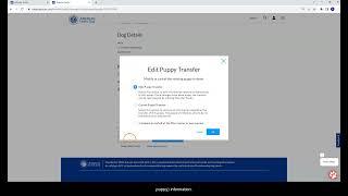 AKC Breeder Toolkit Series: Editing a Transferred Puppy