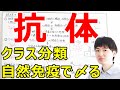 【大学・薬学部の免疫学】抗体と細胞外の病原体への体液性免疫の流れ【ジェイズ/J'z Channel】