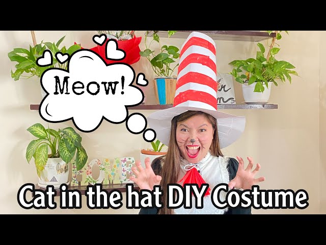 Easy Cat in the Hat DIY: Delightful Fun! 3 sddefault