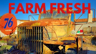 FARM FRESH FINDS - Old American Trucks, Vintage Tractors, Yard Art !!! by PETRO MEDIA  1,390 views 6 months ago 11 minutes, 4 seconds