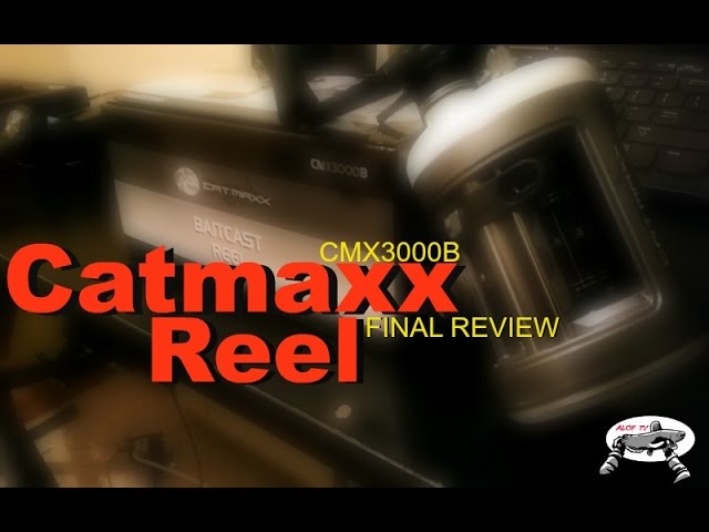 Catmaxx Review (Final) 