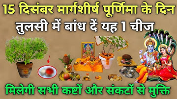 15 दिसंबर मार्गशीर्ष पूर्णिमा के दिन तुलसी के पौधे में बांध देना ये 1 गुप्त चीज इतना #dhanpraptiupay