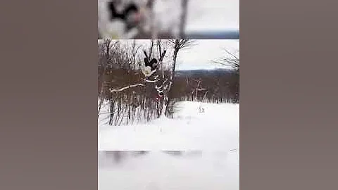 Name the magic liquid ? Non Newtonian Fluid #shorts#learnandfun #oobleck #nonnewtonianfluid #Shorts