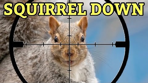 "Squirrel Hunting | FX Impact M4 .22 Cal"