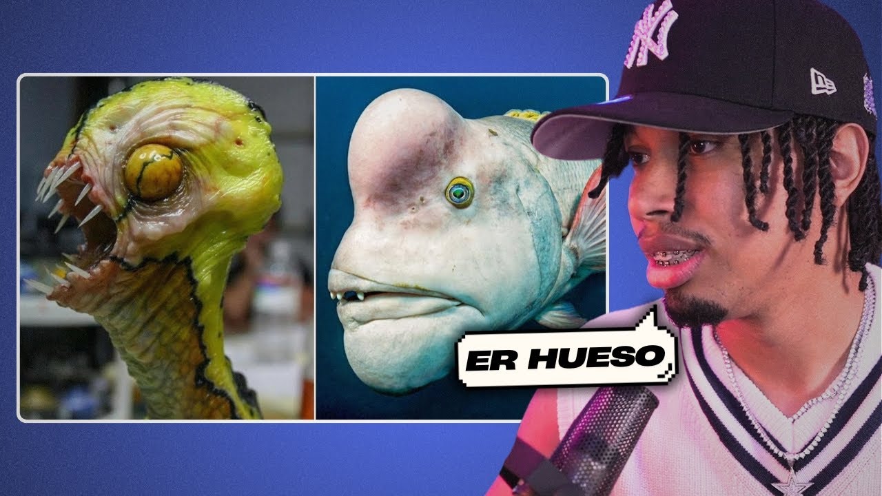 RDjavi Reacciona A Los 15 Animales Más Raros del Mundo 😨🪲