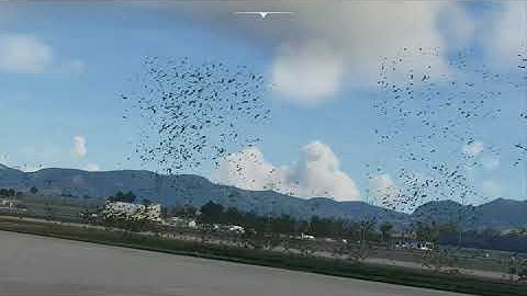 Microsoft Flight Simulator 2020 | Trees Bug Report | Texture Crash